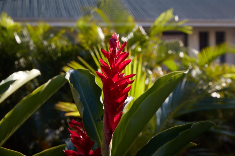 Villa Colibri COLIBRI 8.jpg